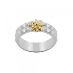 Anillo Aiora Plata Dorado*Eguzkilore Sale