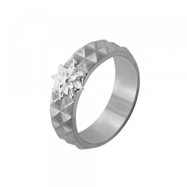 Anillo Aiora Rutenio Plata*Eguzkilore Best