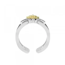 Anillo Bayona Plata y Dorado*Eguzkilore New