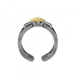 Anillo Bayona Rutenio y Dorado*Eguzkilore New