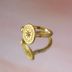Anillo B1 Plata Dorada y Circonitas Blancas*Eguzkilore New