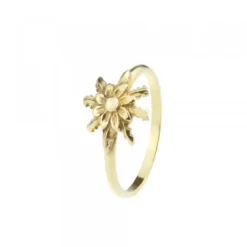 Anillo Clásico Oro Talla*Eguzkilore Online