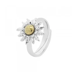 Anillo de Plata Bicolor Ajustable*Eguzkilore