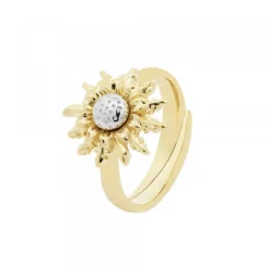 Anillo de Plata Dorada Bicolor*Eguzkilore