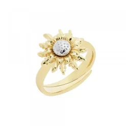 Anillo de Plata Dorada Bicolor*Eguzkilore