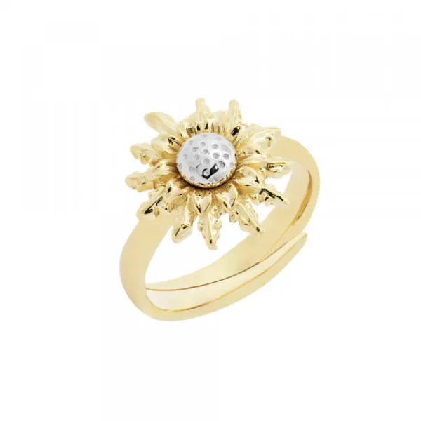 Anillo de Plata Dorada Bicolor*Eguzkilore