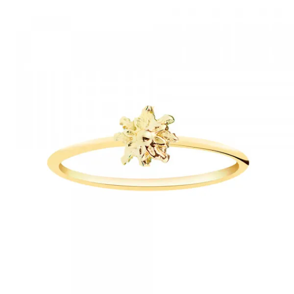Anillo Fino Oro 18kt.*Eguzkilore Hot