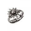 Anillo Plata Negra Ajustable*Eguzkilore Online