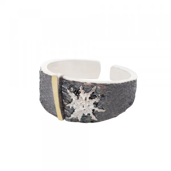 Anillo Grande Flysch Plata con Lámina de Oro*Eguzkilore New