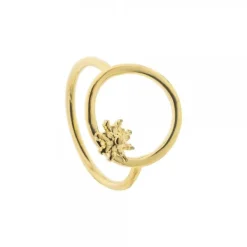 Anillo Luna Llena Plata Dorada para Mujer*Eguzkilore Hot