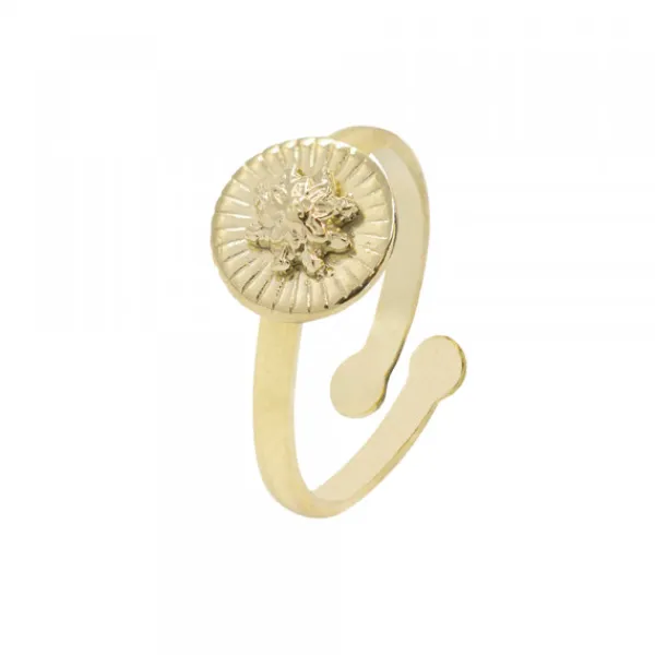 Anillo Radial Plata Dorada*Eguzkilore Best