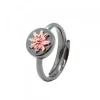 Anillo R-Chic de Plata Rosa*Eguzkilore Best