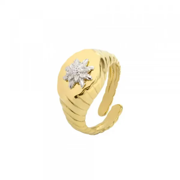 Anillo Sello Grecia Plata Dorada*Eguzkilore Discount