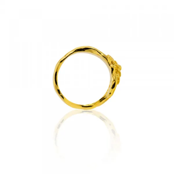 Anillo Ur de Plata Dorada*Eguzkilore Best