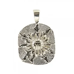 Colgante Chapa Plata 31mm*Eguzkilore Clearance