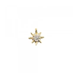 Colgante Oro Bicolor y Brillante 9,5mm*Eguzkilore Clearance