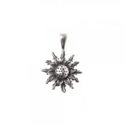 Colgante Plata Envejecida 14mm*Eguzkilore Hot