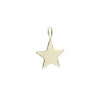 Colgante Estrella de Plata Dorada*Eguzkilore
