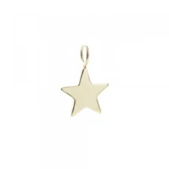 Colgante Estrella de Plata Dorada*Eguzkilore