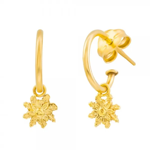 Pendientes Aro Plata Dorada 20mm*Eguzkilore Online