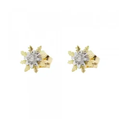 Pendientes Oro Bicolor y Brillante 9mm*Eguzkilore Hot