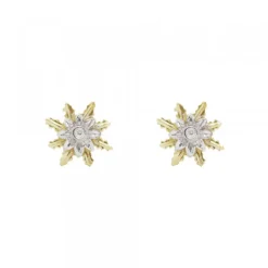 Pendientes Oro Bicolor y Brillante 9mm*Eguzkilore Hot