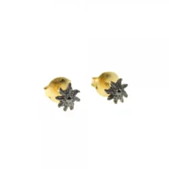 Pendientes Plata Dorada y Rutenio*Eguzkilore