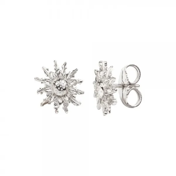 Pendientes Plata 14mm*Eguzkilore Outlet