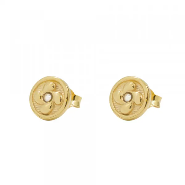 Pendientes Lauburu Redondos Plata Dorada Circonita 10mm*Eguzkilore Best
