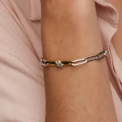 Pulsera Bayona Eslabones Plata*Eguzkilore Best